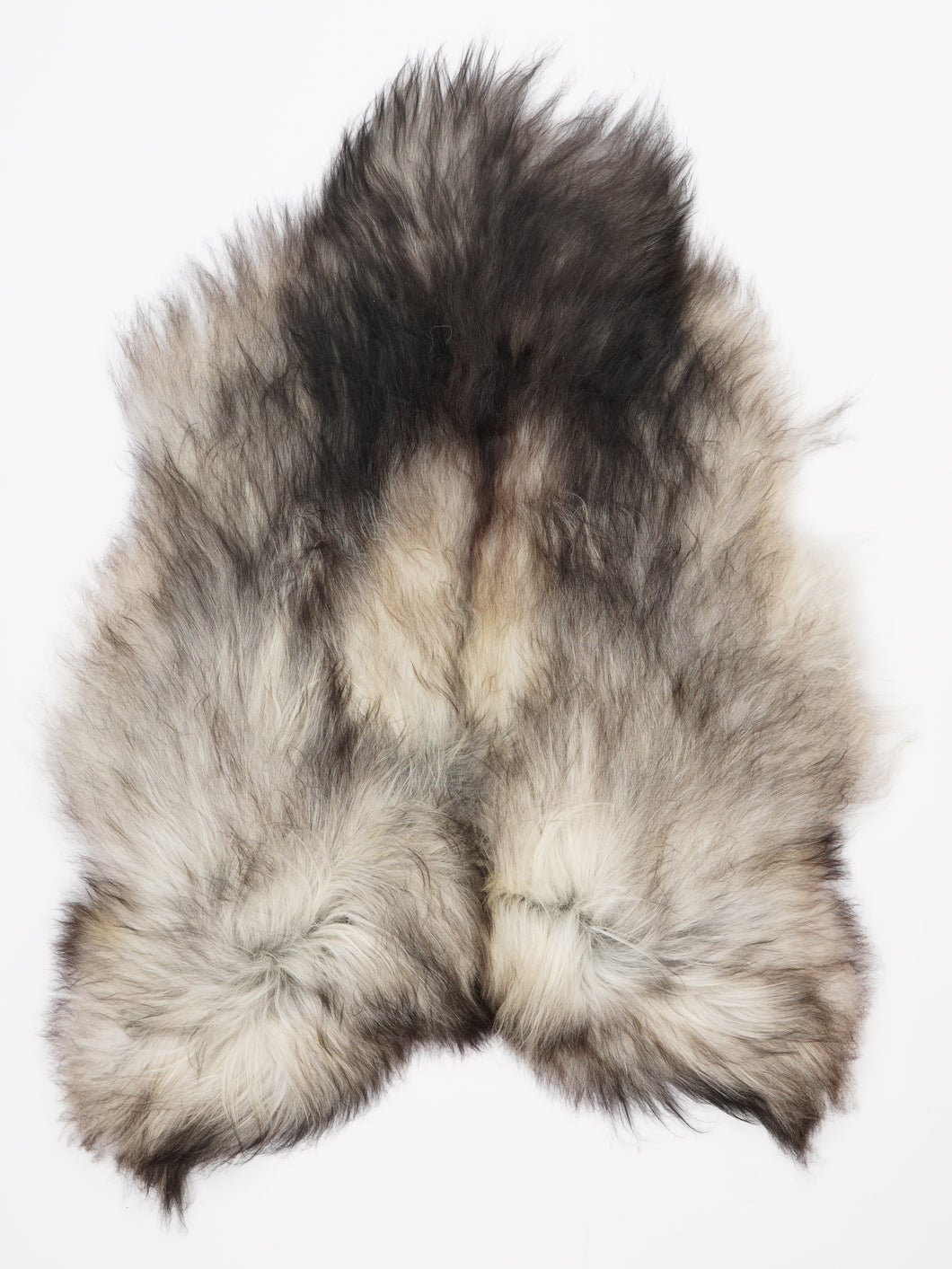 Pilkas islandiškas avikailis XL