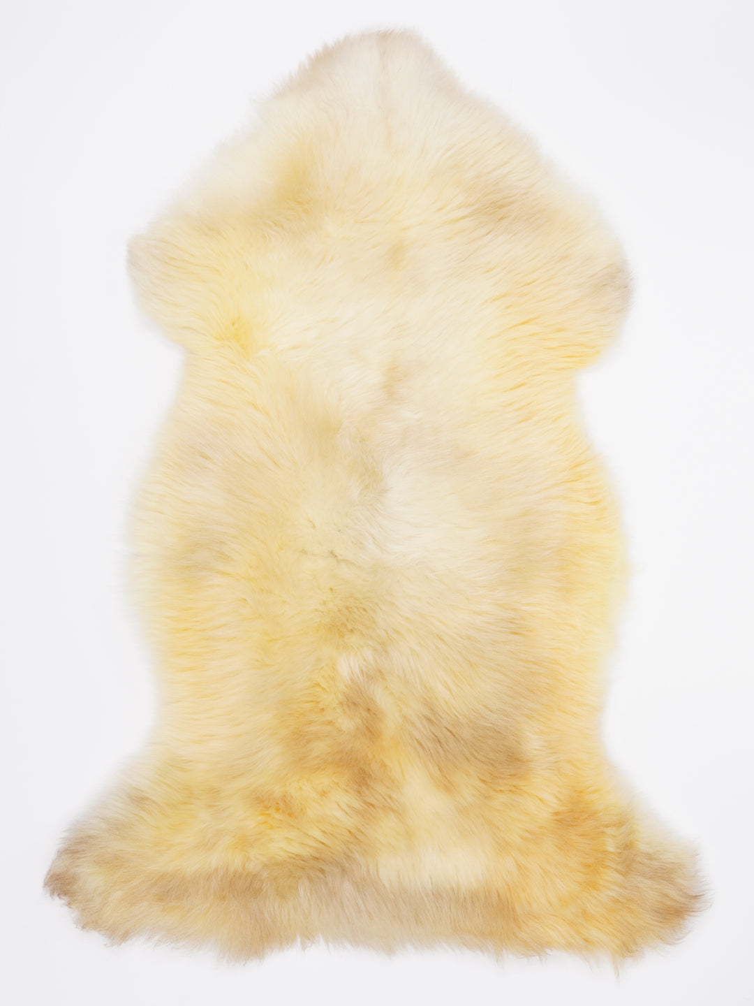 Įvairiaspalvis avikailis XL