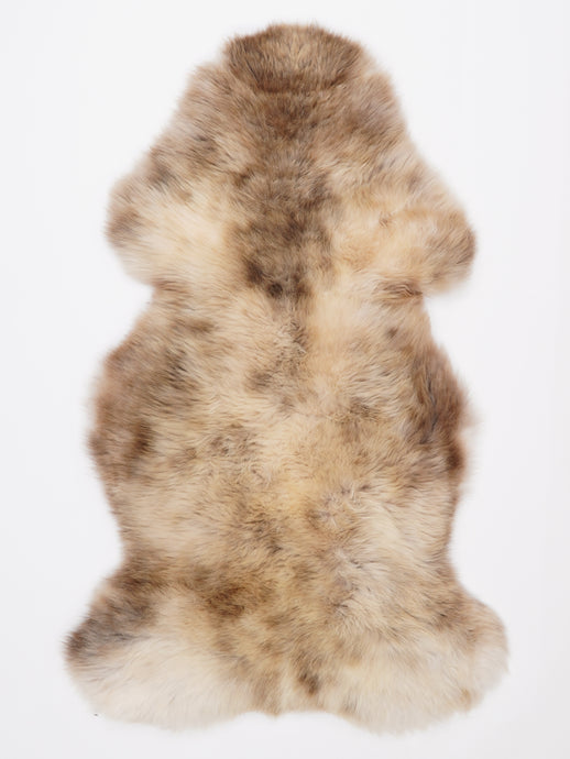 Įvairiaspalvis avikailis L