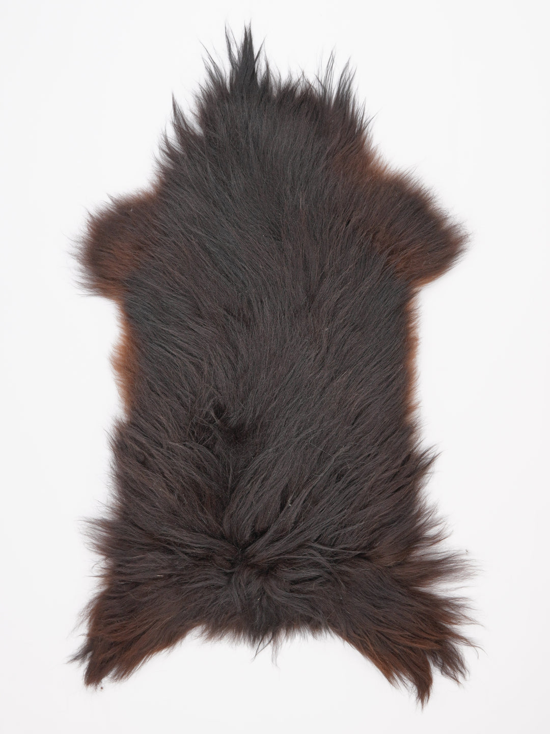 Islandiškas avikailis XL