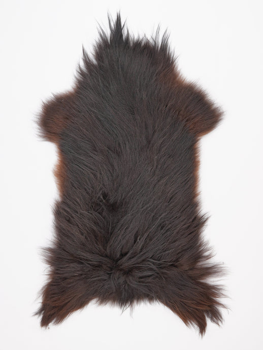 Islandiškas avikailis XL