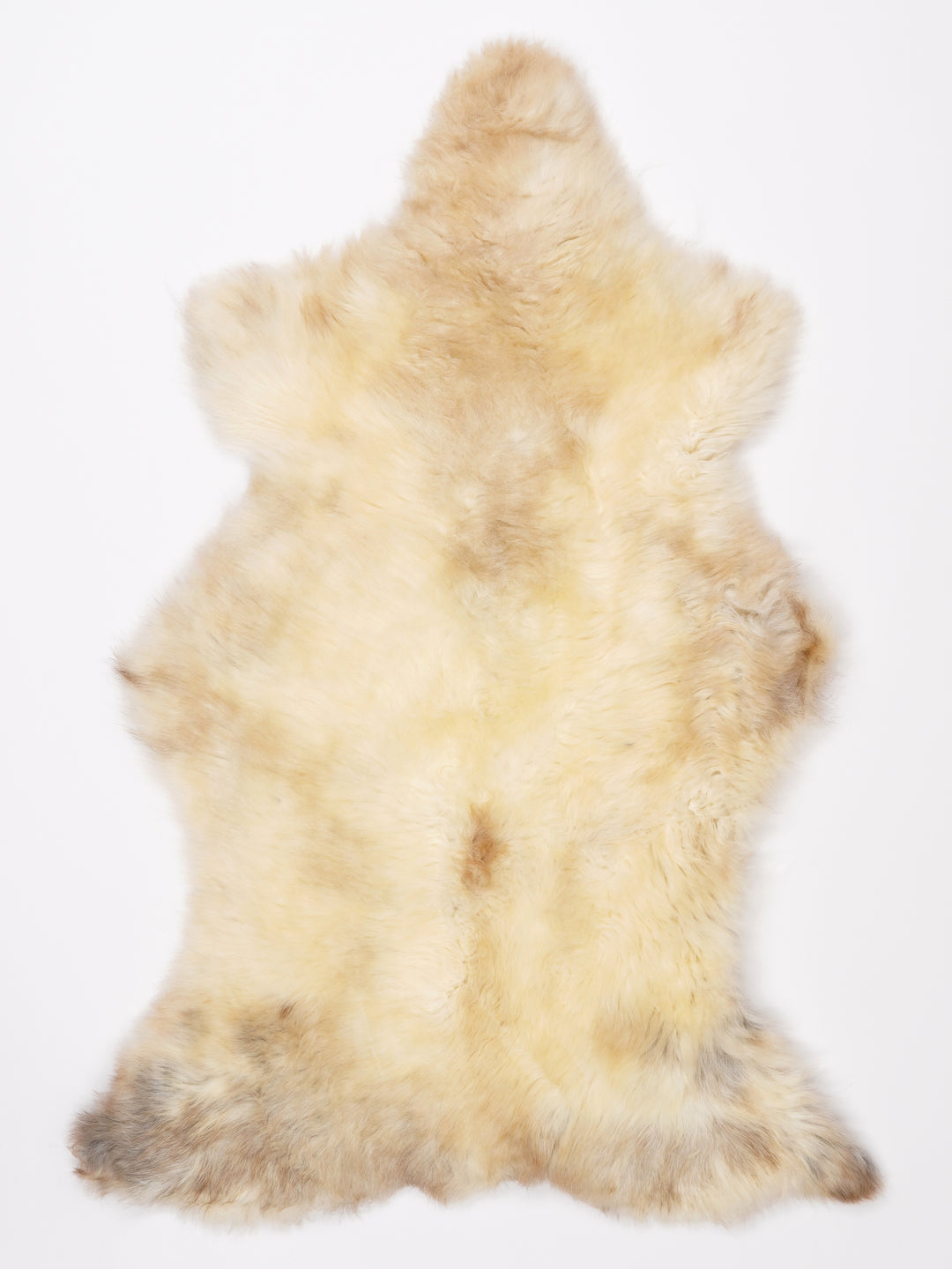 Įvairiaspalvis avikailis M