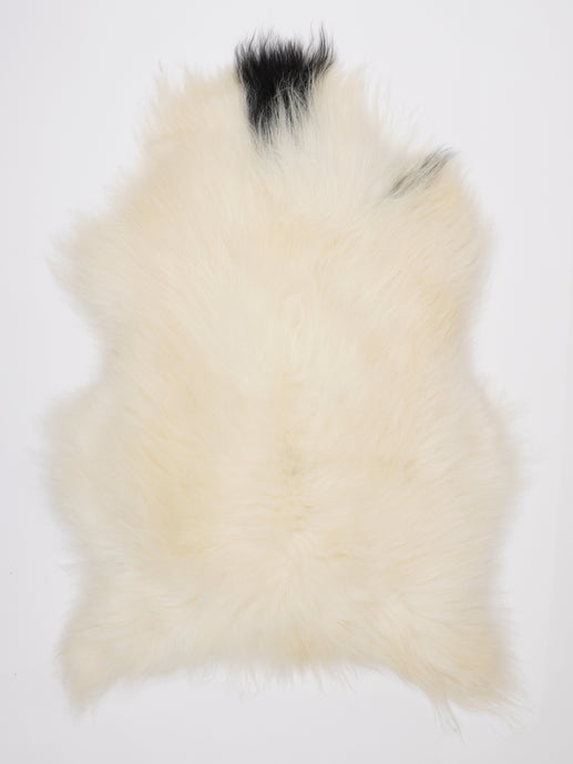 Islandiškas avikailis XL