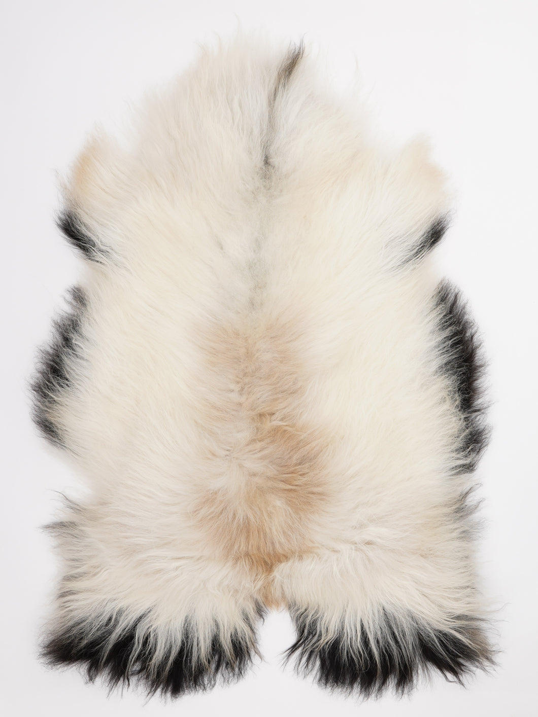 Islandiškas avikailis XL