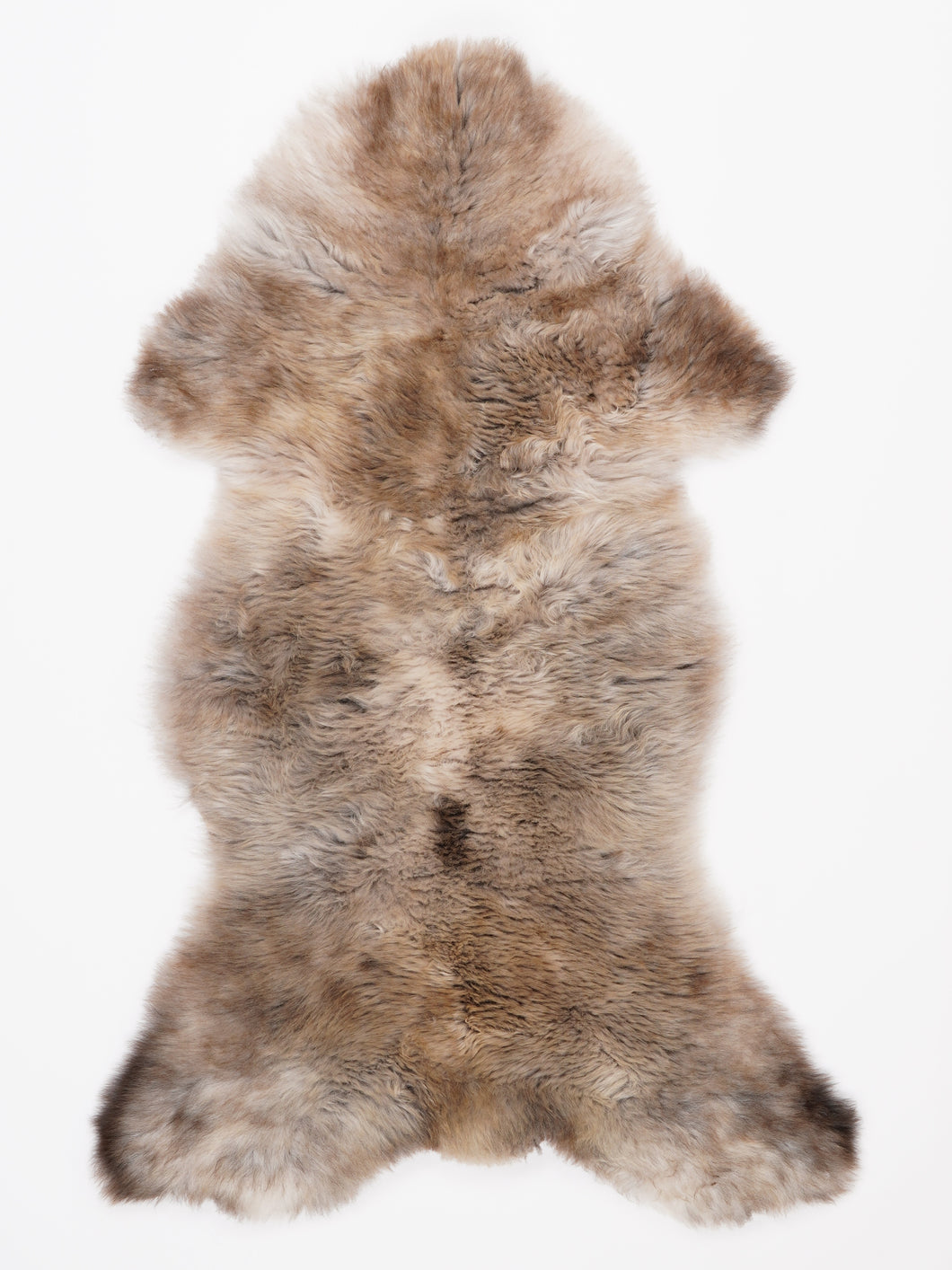 Įvairiaspalvis avikailis L