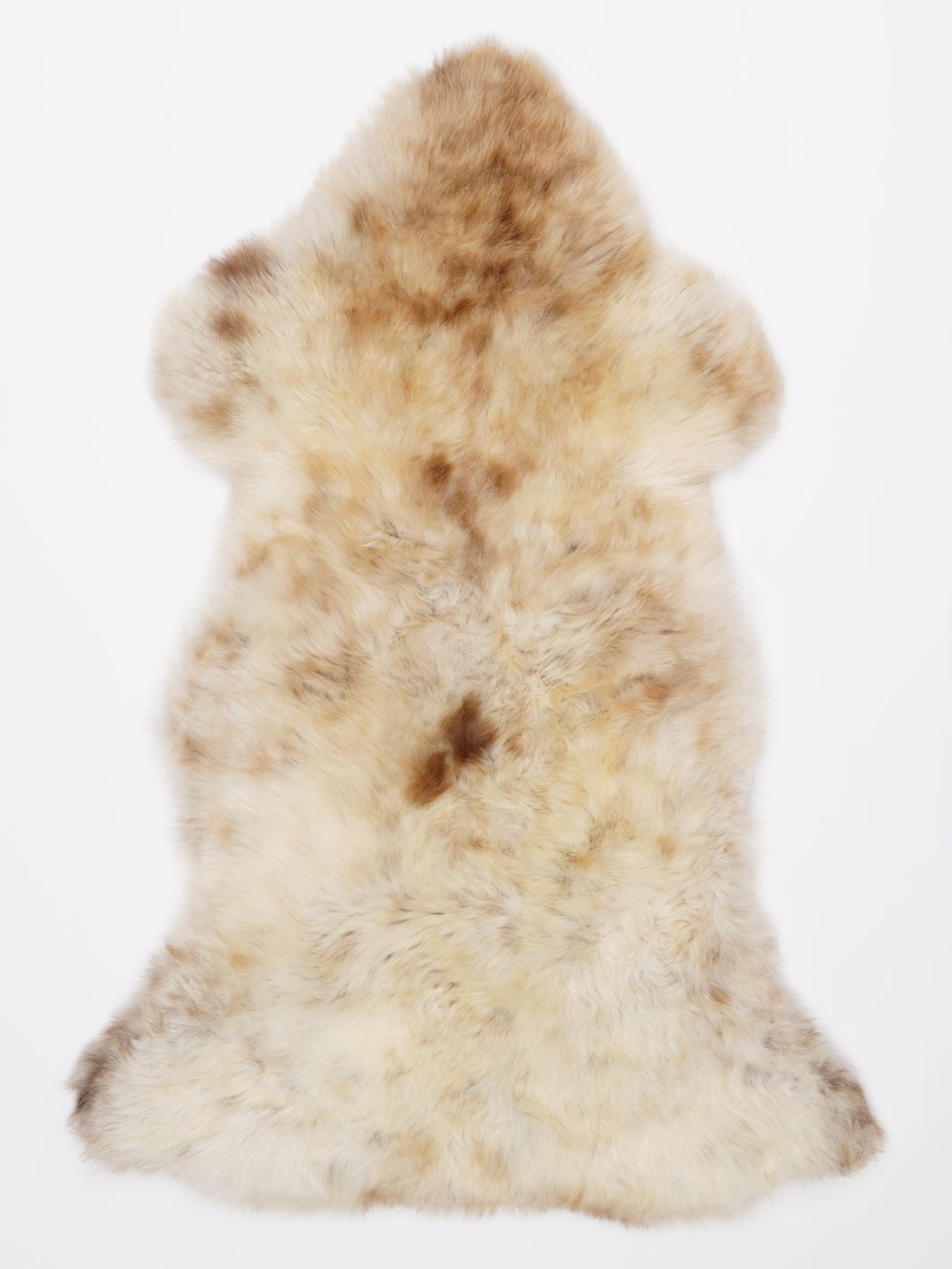 Įvairiaspalvis avikailis L