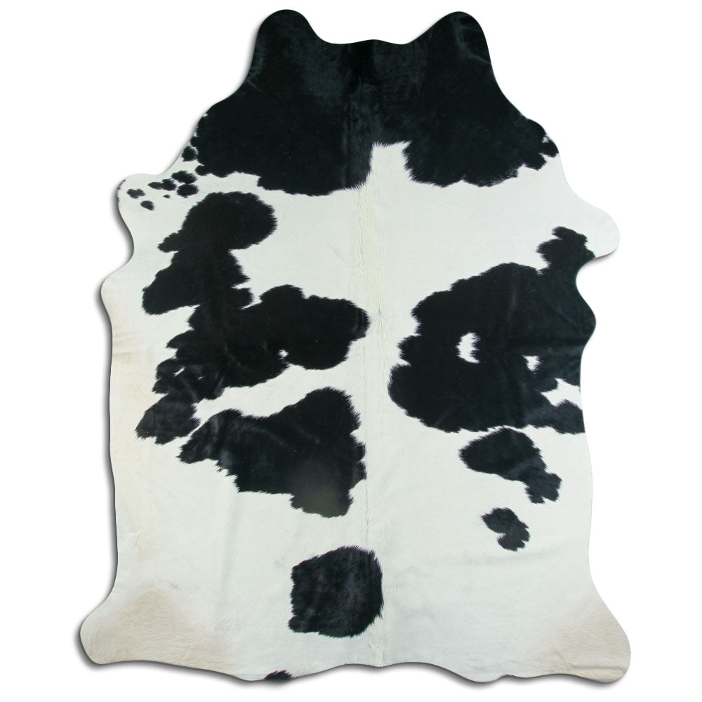 Balta/melna govs āda XXL