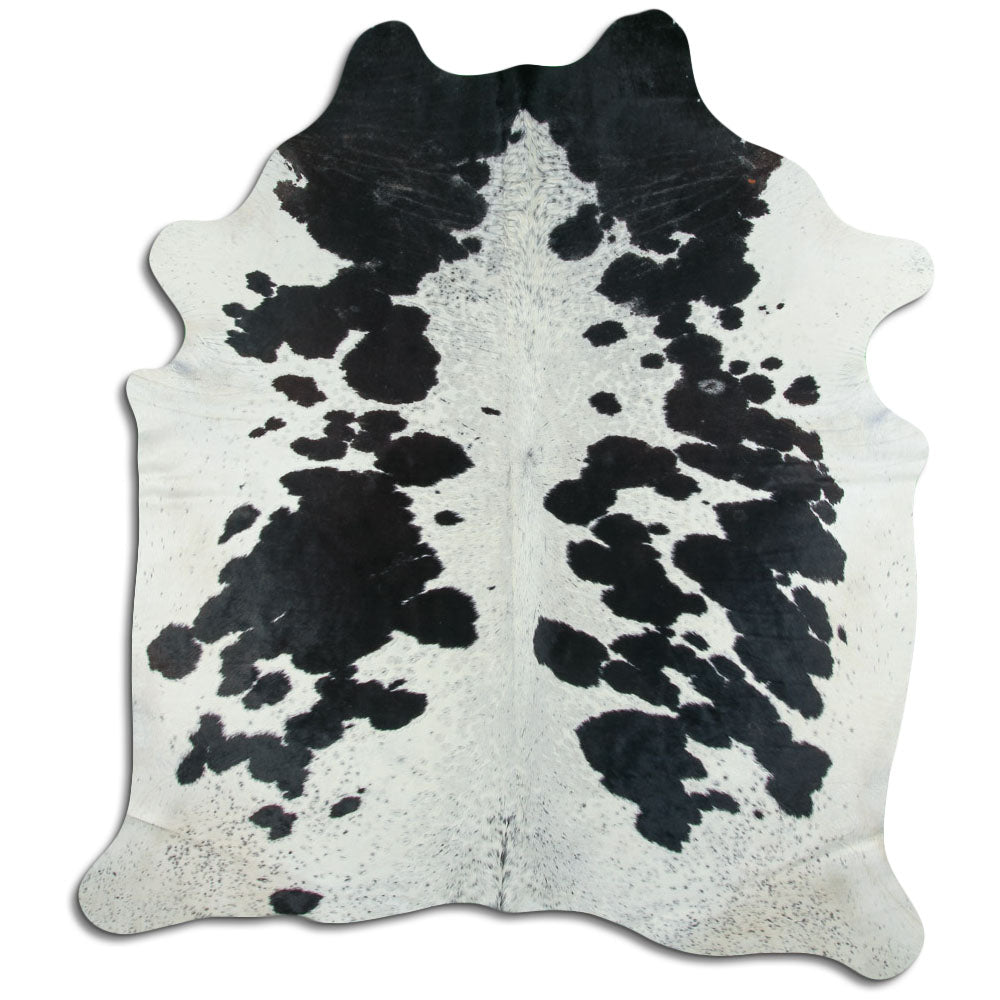 Balta/melna govs āda XXL