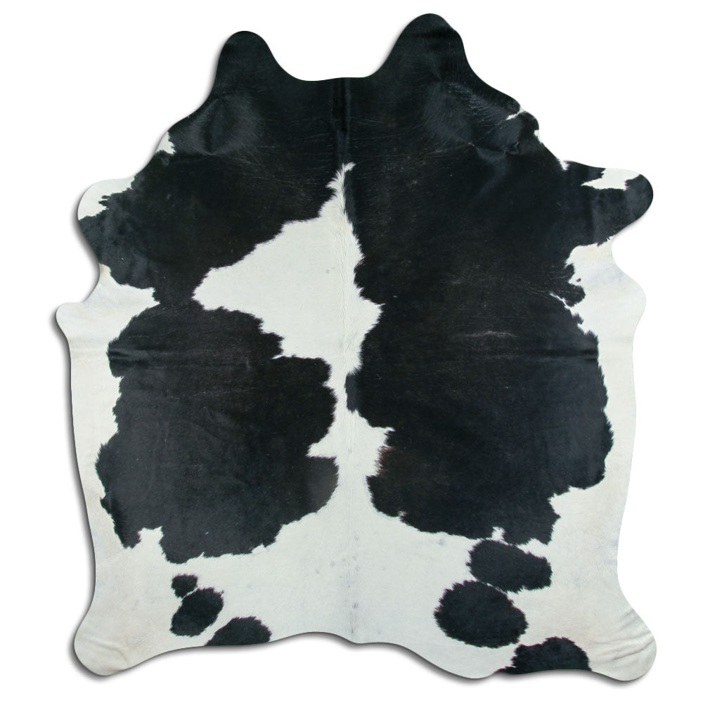 Balta/melna govs āda XXL