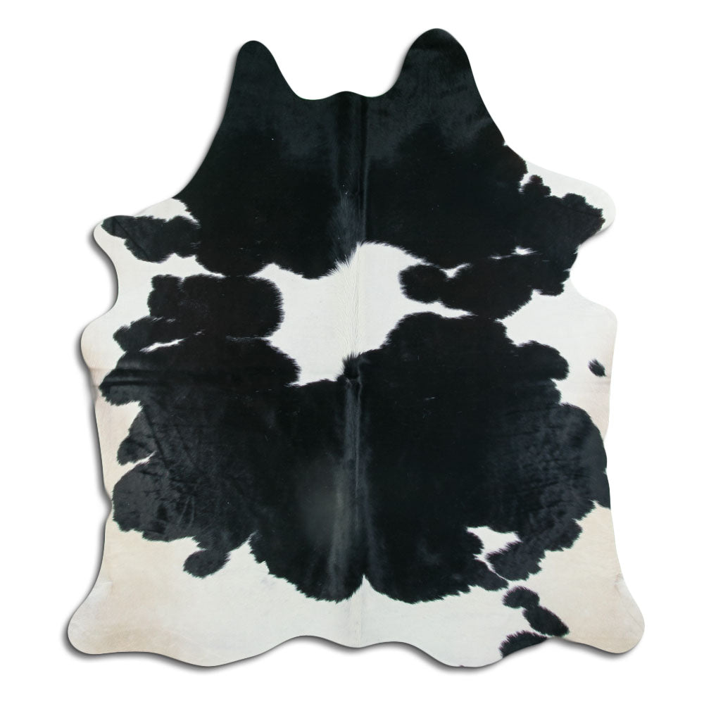 Balta/melna govs āda XL