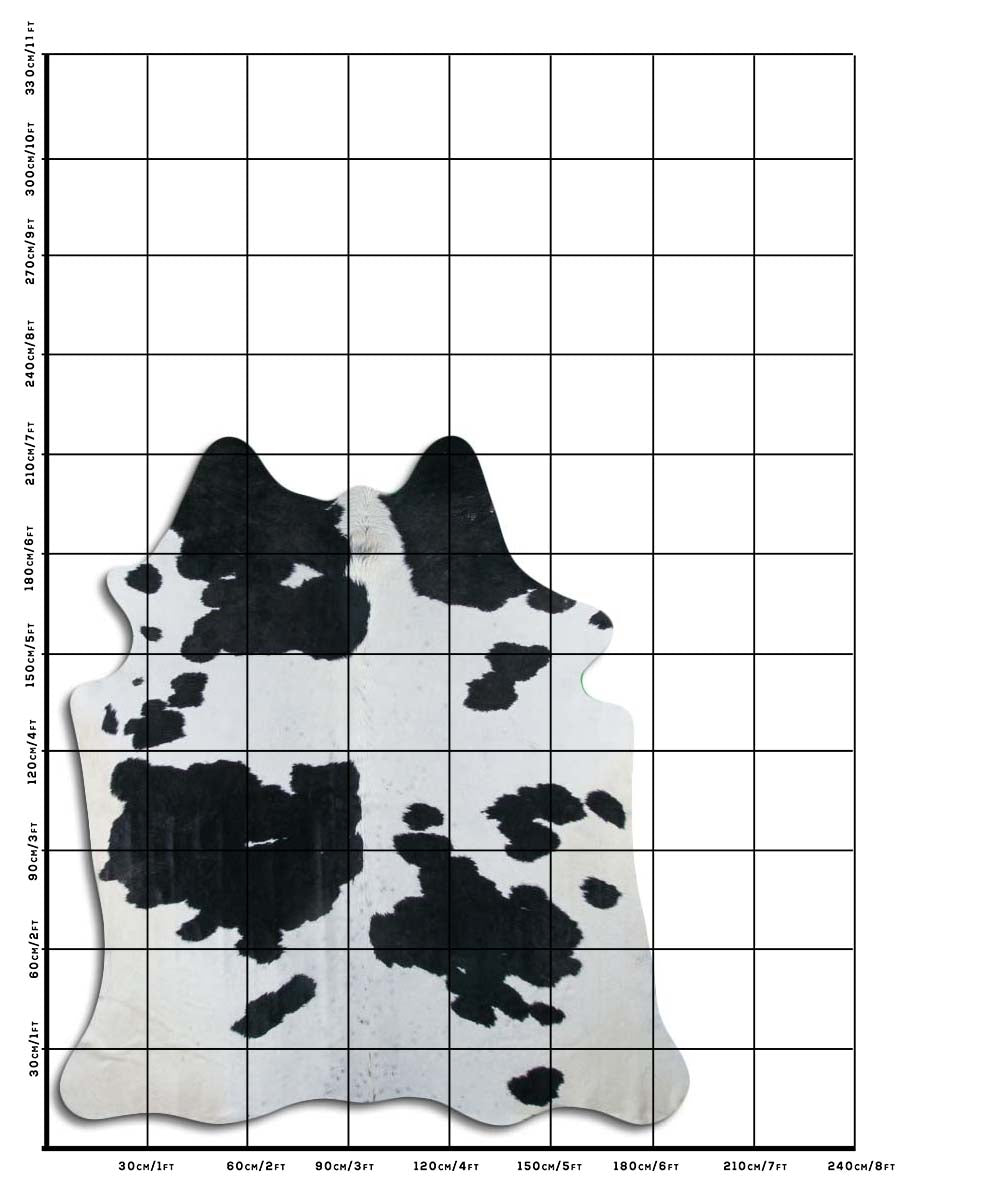 Balta/Melna govs āda XL