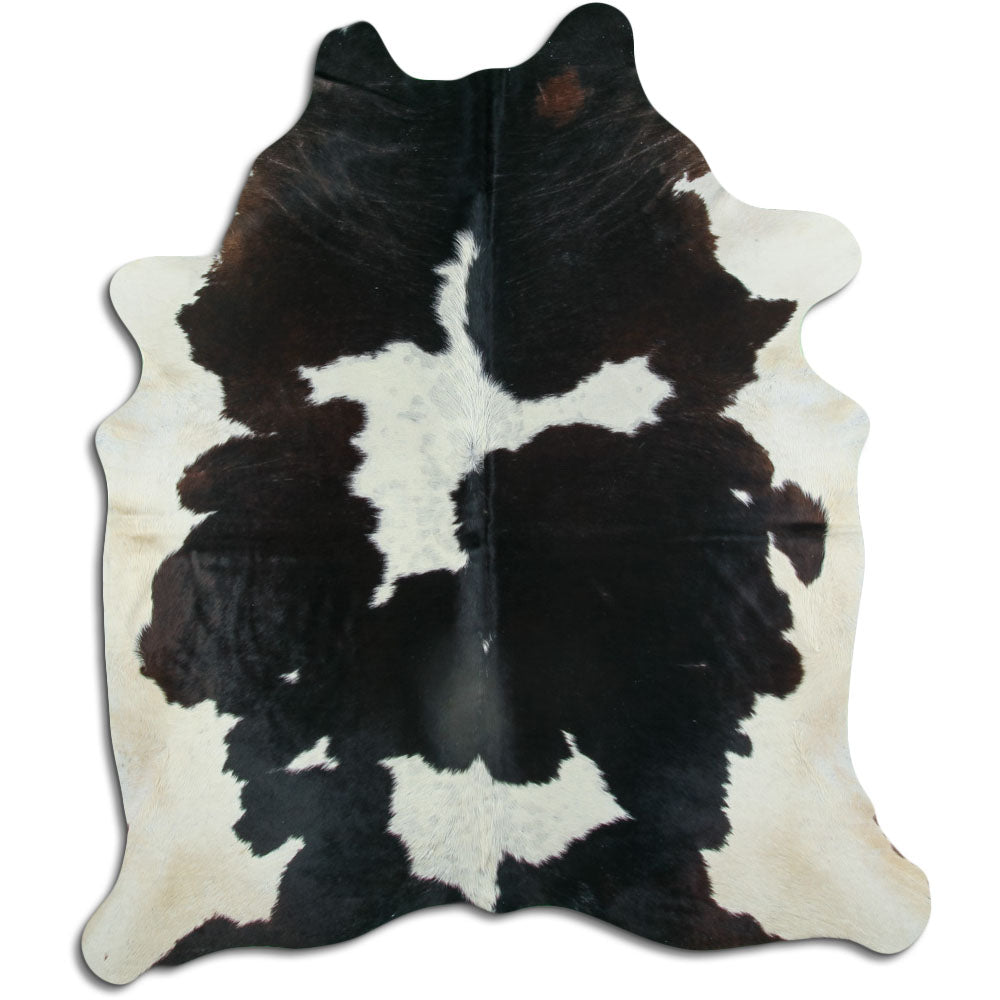 Balta/melna govs āda XL