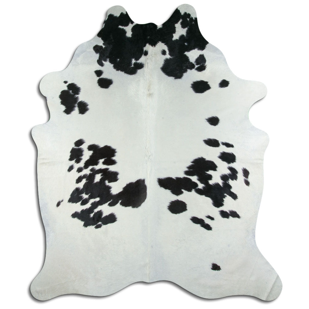 Balta/melna govs āda XXL