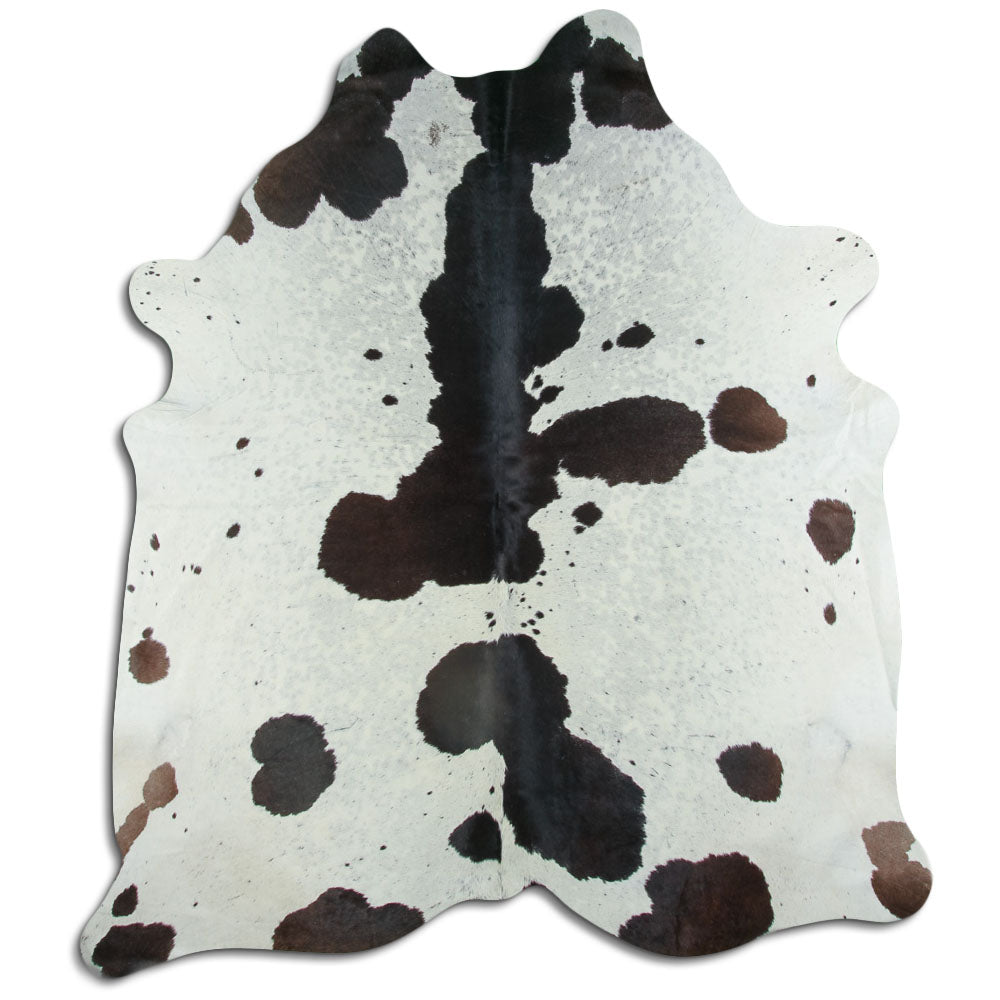 Balta/melna govs āda XXL