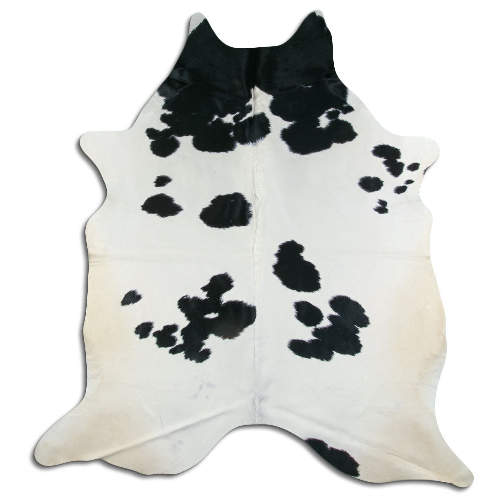 Balta/melna govs āda XXL