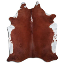 Augšupielādēt attēlu galerijas skatā, Brūna govs āda XL
