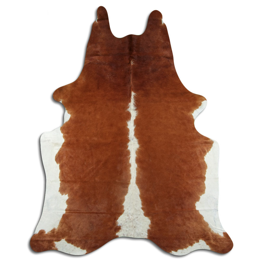 Brūna govs āda XXL