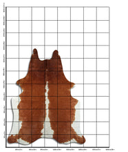 Augšupielādēt attēlu galerijas skatā, Brūna govs āda XXL
