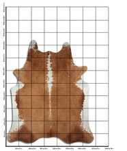 Augšupielādēt attēlu galerijas skatā, Brūna govs āda XXXL
