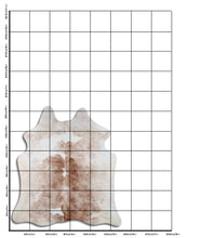 Augšupielādēt attēlu galerijas skatā, Šampanieša govs āda L
