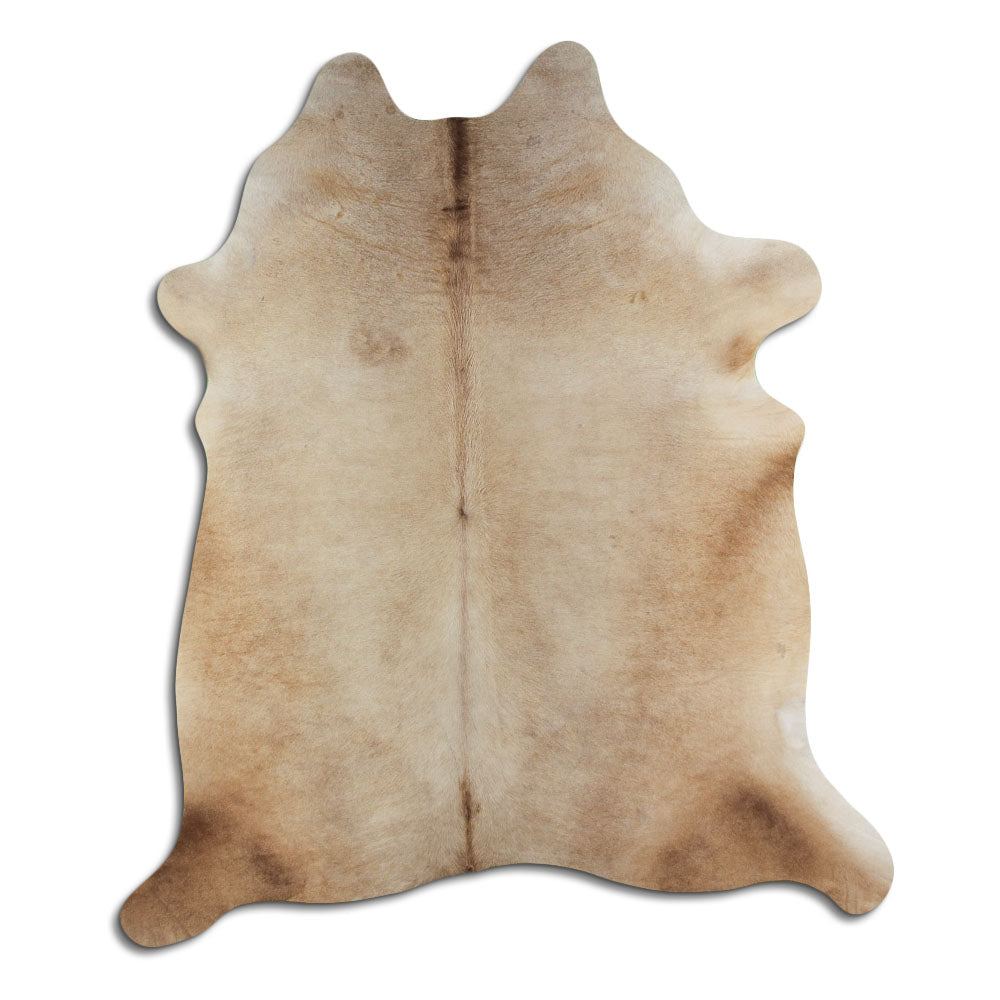 Šampanieša govs āda XL