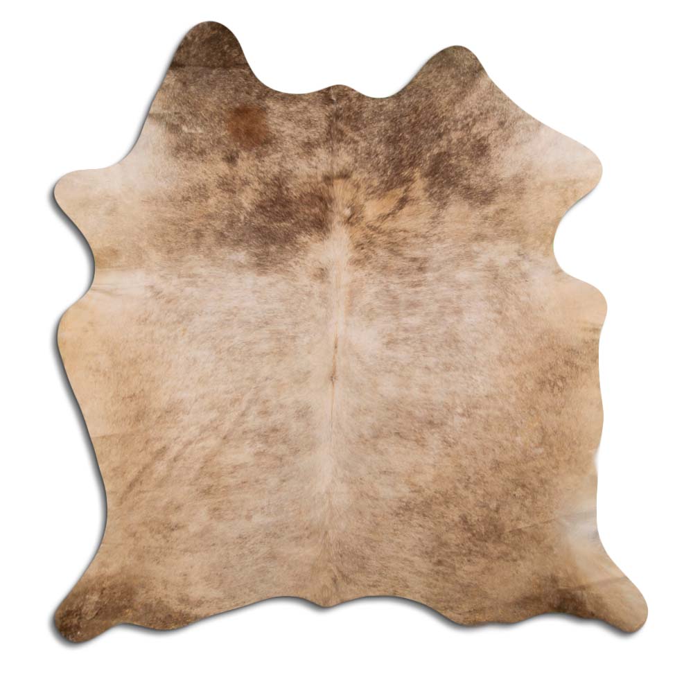 Šampanieša govs āda XL