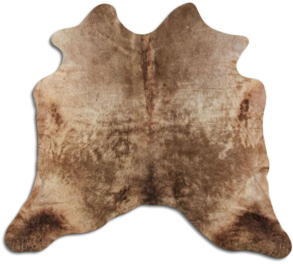 Šampanieša govs āda M