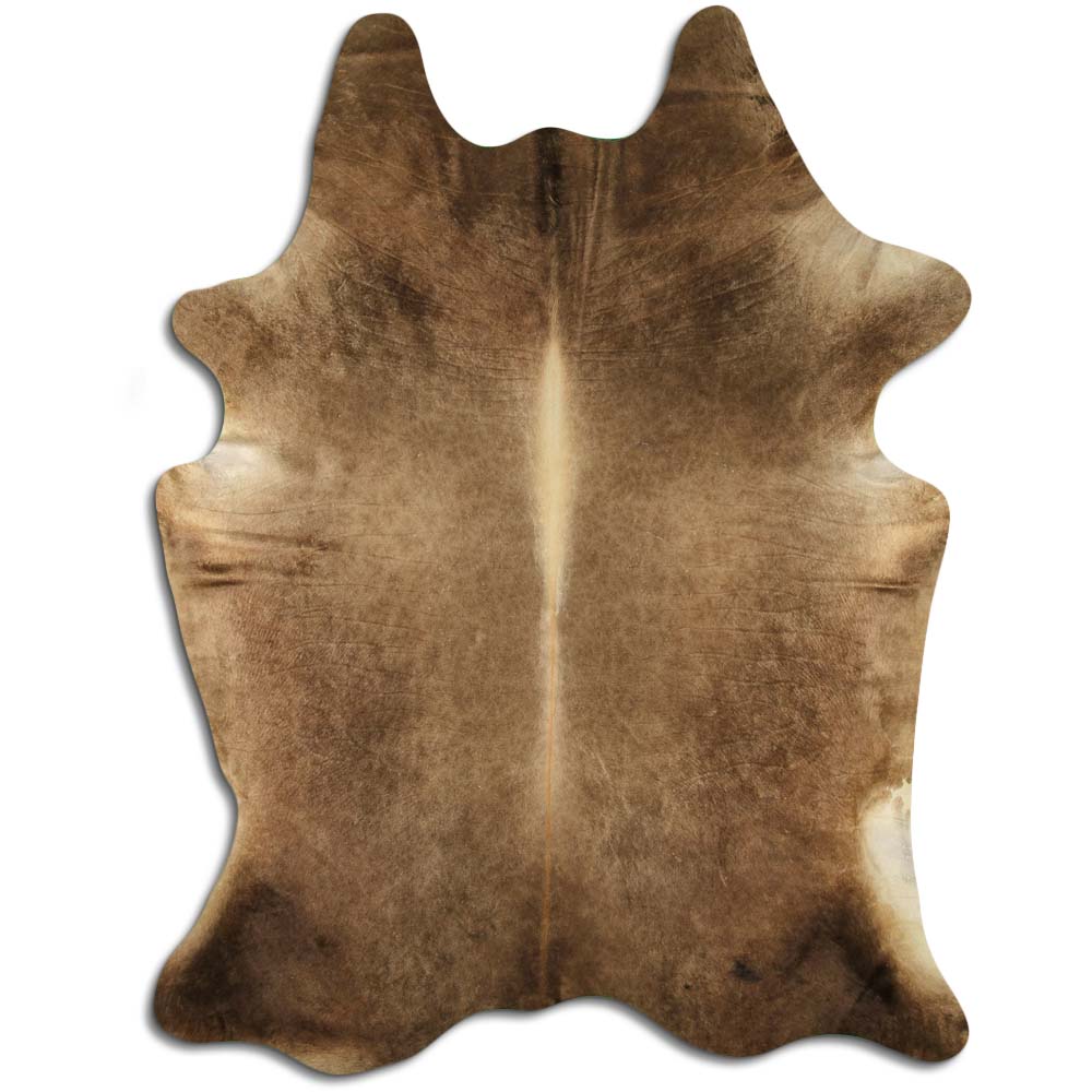 Šampanieša govs āda XXL