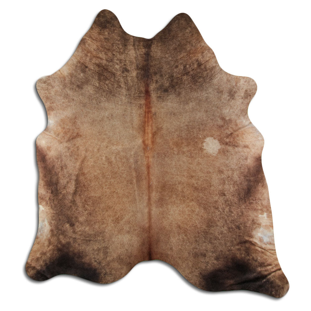 Šampanieša govs āda XL