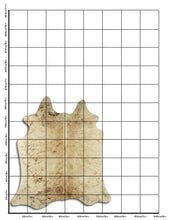 Įkelti vaizdą į galerijos rodinį, Šampaninis karvės kailis M
