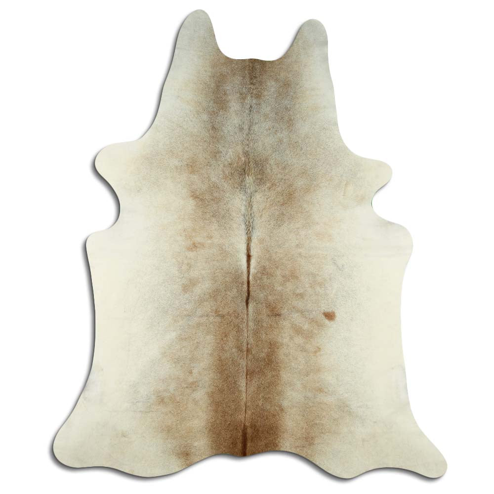 Šampanieša govs āda XL