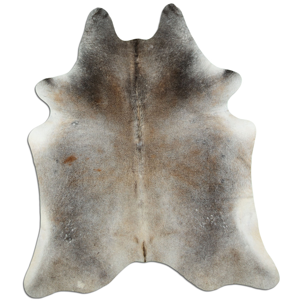 Pelēkā govs āda L