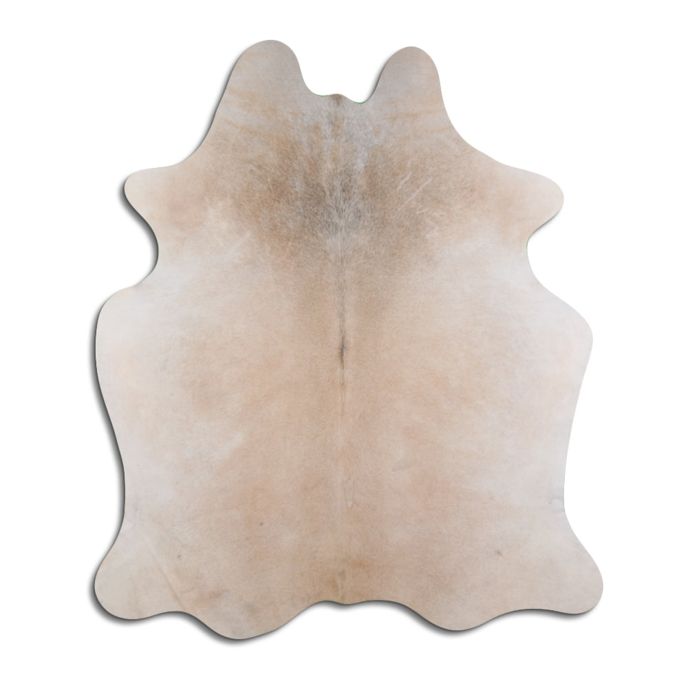 Šampanieša govs āda XXL