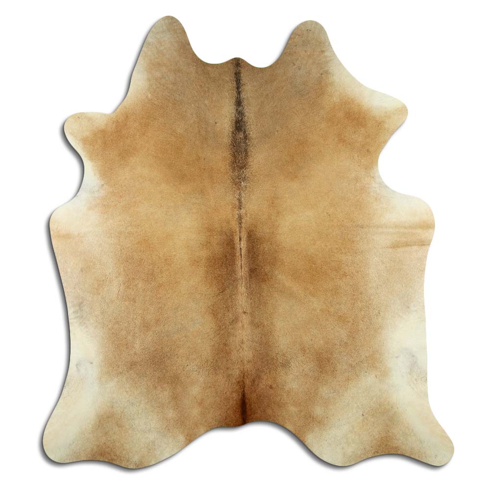 Šampanieša govs āda L