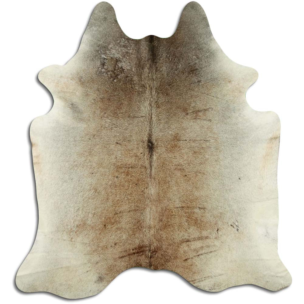 Šampanieša govs āda XL