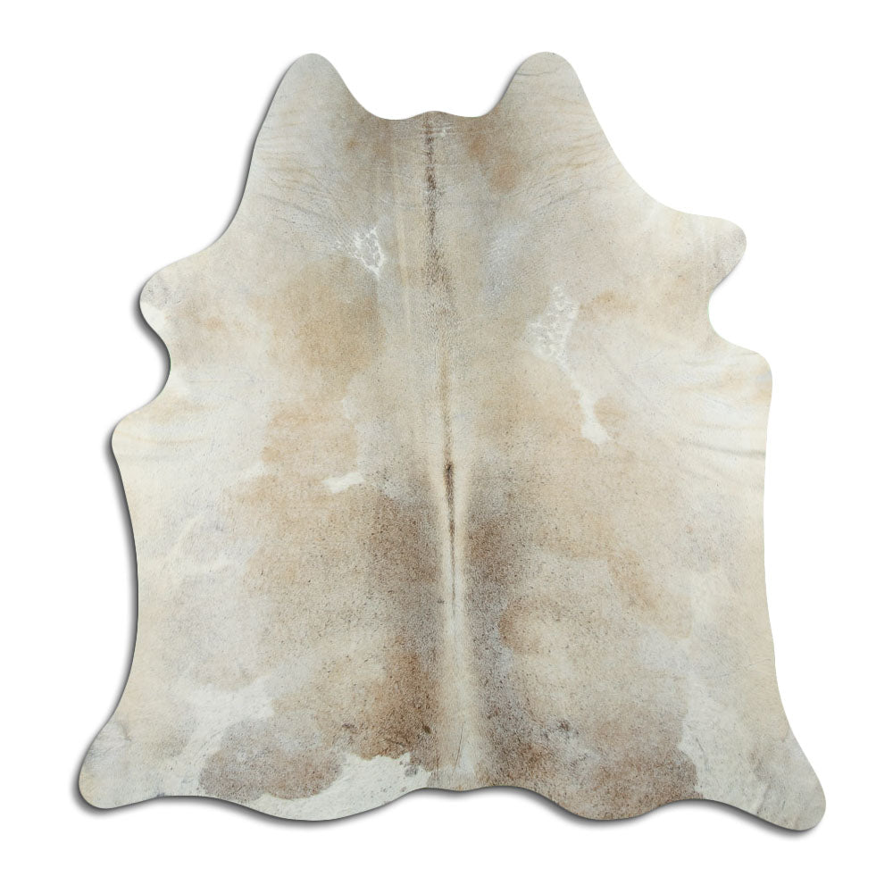 Šampanieša govs āda L