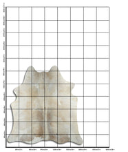 Augšupielādēt attēlu galerijas skatā, Šampanieša govs āda L
