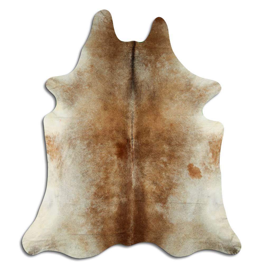 Šampanieša govs āda XXL 