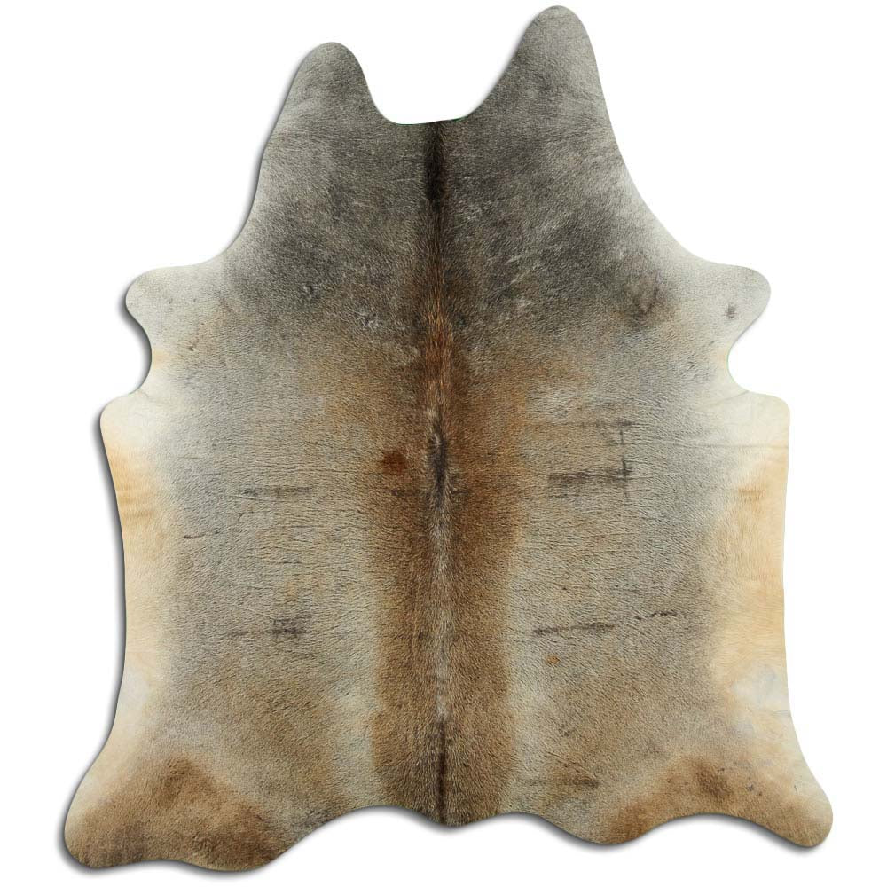 Šampanieša govs āda XL