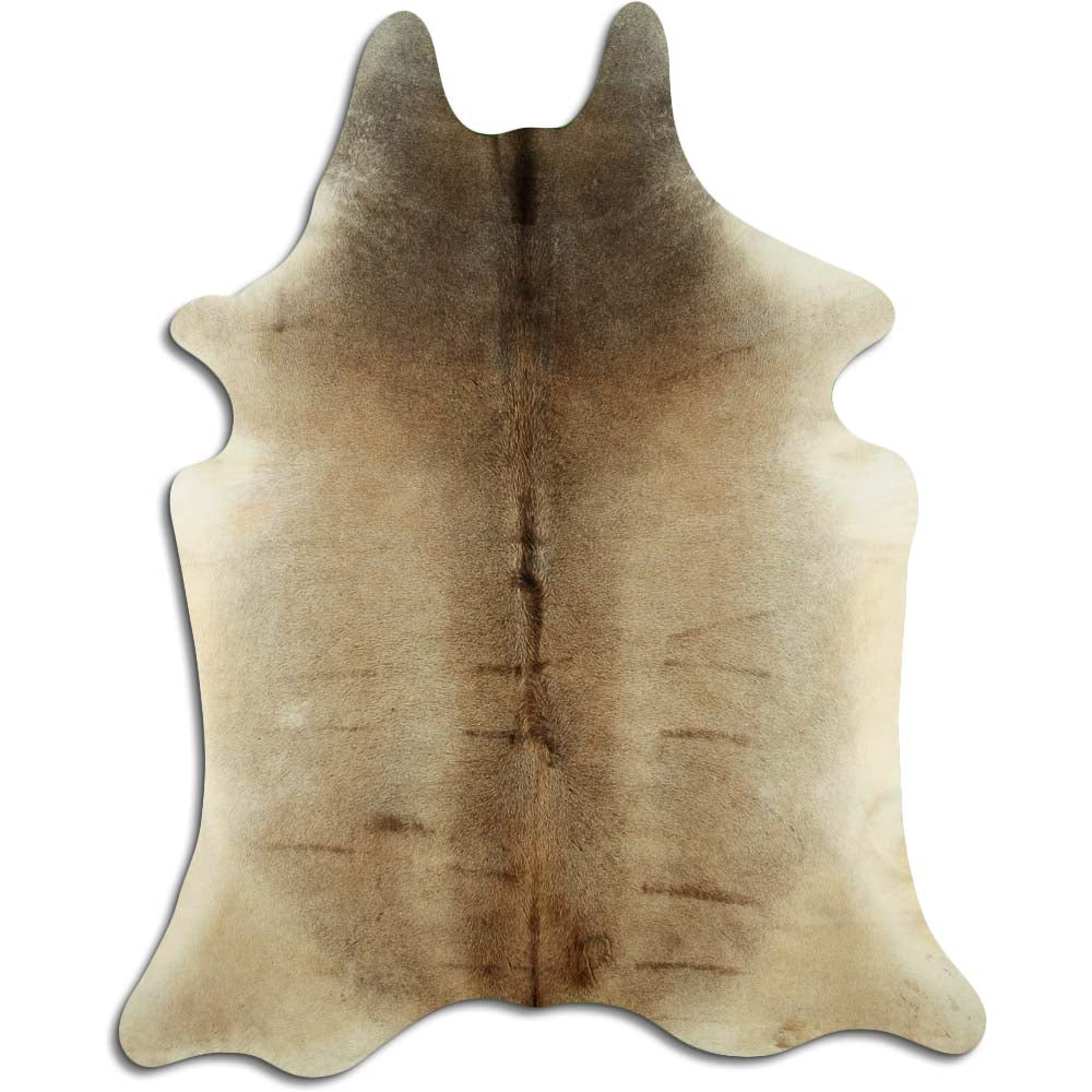 Šampanieša govs āda XXL