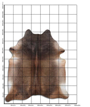 Augšupielādēt attēlu galerijas skatā, Brūna govs āda XXXL
