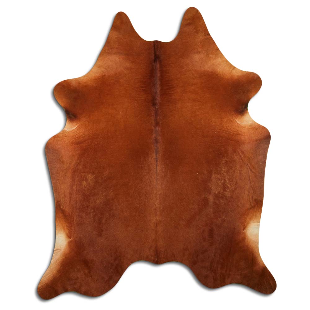 Brūna govs āda XXL 