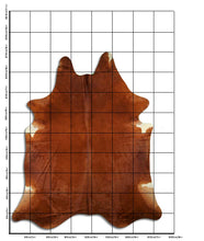 Augšupielādēt attēlu galerijas skatā, Brūna govs āda XXXL
