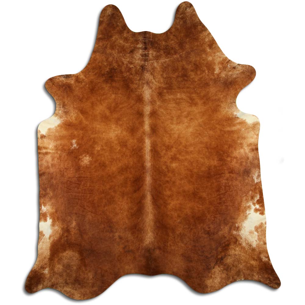 Brūna govs āda XXXL