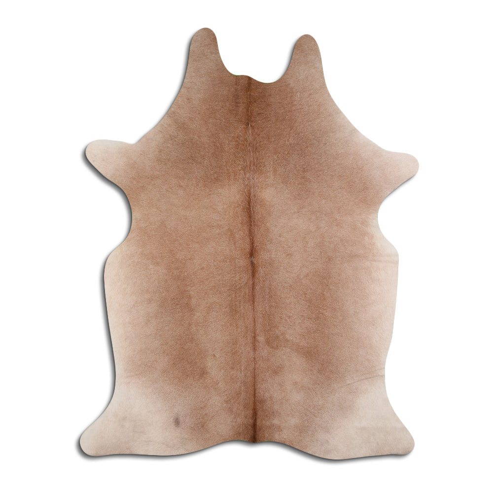 Šampanieša govs āda XL