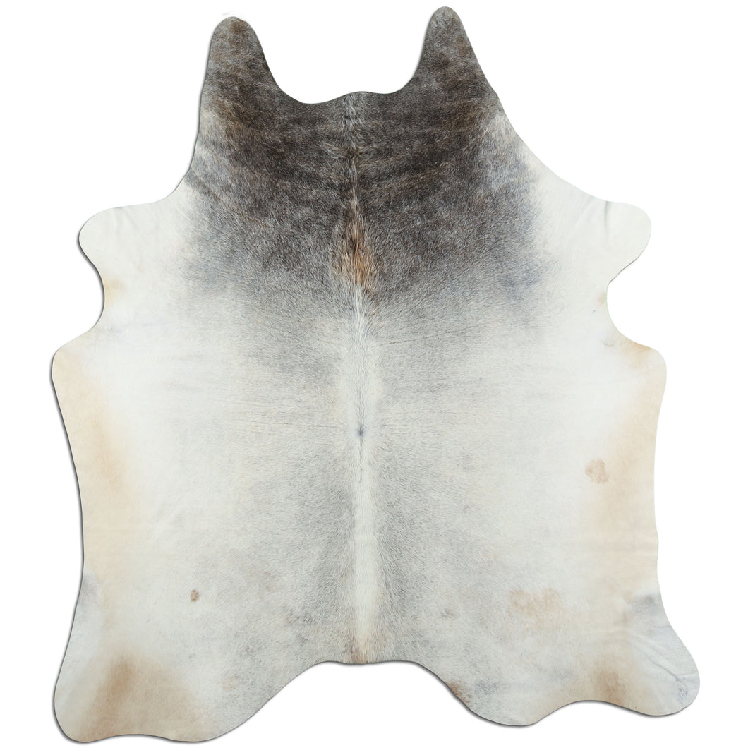 Pelēkā govs āda L