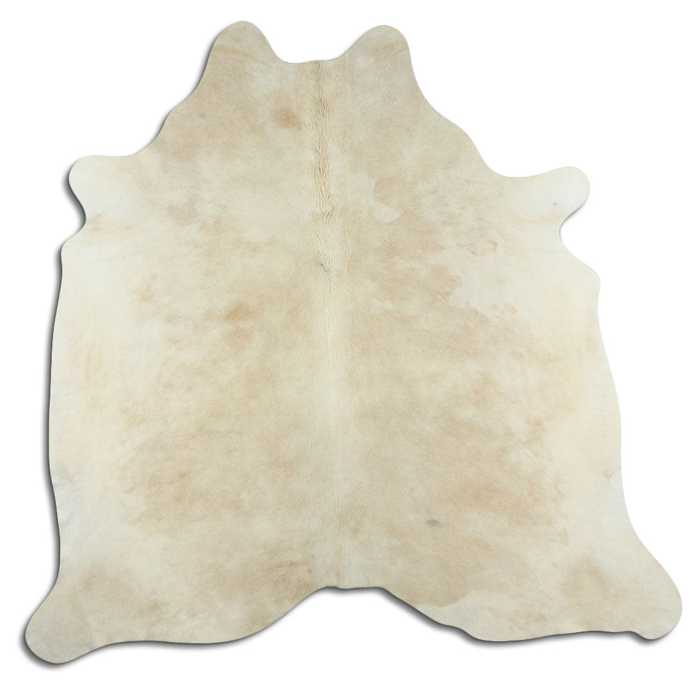 Šampanieša govs āda L