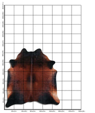 Augšupielādēt attēlu galerijas skatā, Brūna govs āda L
