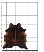 Augšupielādēt attēlu galerijas skatā, Brūna govs āda M
