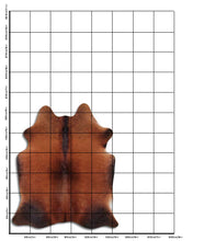 Augšupielādēt attēlu galerijas skatā, Brūna govs āda L
